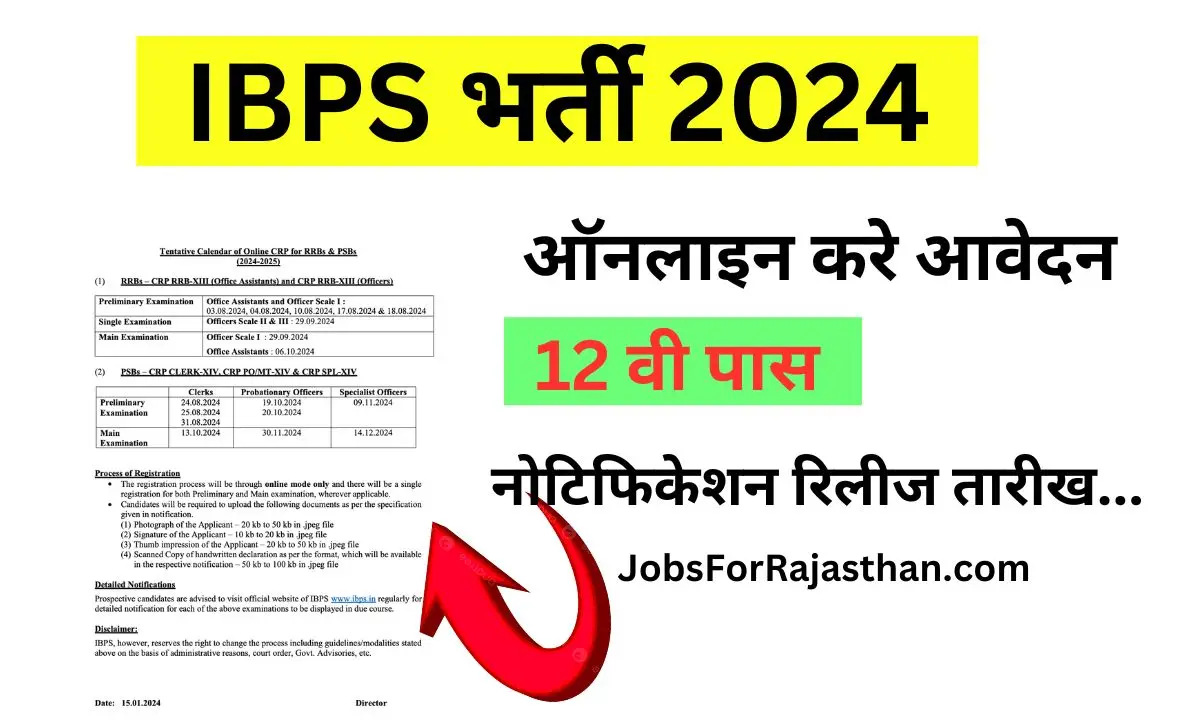 IBPS भर्ती 2024